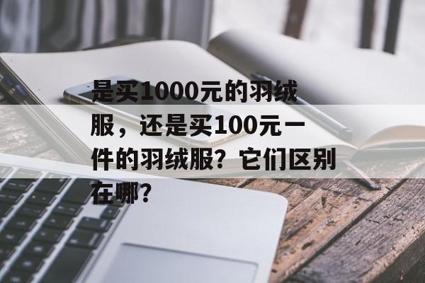 是买1000元的羽绒服，还是买100元一件的羽绒服？它们区别在哪？-第1张图片-