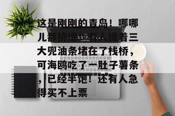 这是刚刚的青岛！哪哪儿都挤爆！有人提着三大兜油条堵在了栈桥，可海鸥吃了一肚子薯条，已经半饱！还有人急得买不上票-第1张图片-