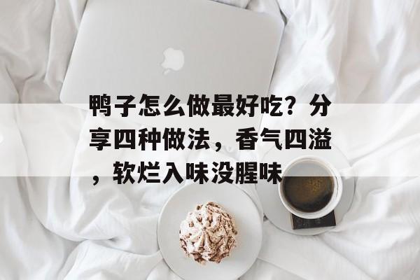 鸭子怎么做最好吃？分享四种做法，香气四溢，软烂入味没腥味-第1张图片-
