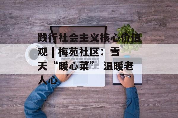 践行社会主义核心价值观 | 梅苑社区：雪天“暖心菜” 温暖老人心-第1张图片-