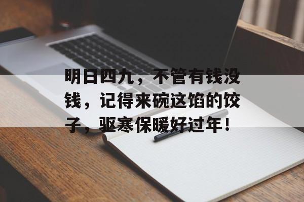 明日四九，不管有钱没钱，记得来碗这馅的饺子，驱寒保暖好过年！-第1张图片-