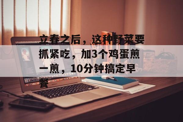 立春之后，这种野菜要抓紧吃，加3个鸡蛋煎一煎，10分钟搞定早餐-第1张图片-