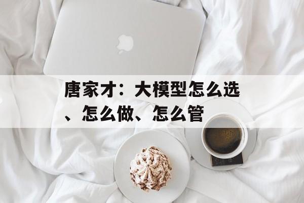 唐家才：大模型怎么选、怎么做、怎么管-第1张图片-