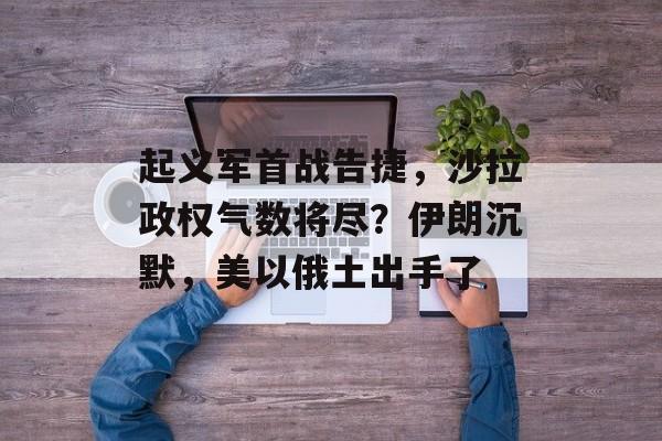 起义军首战告捷，沙拉政权气数将尽？伊朗沉默，美以俄土出手了-第1张图片-