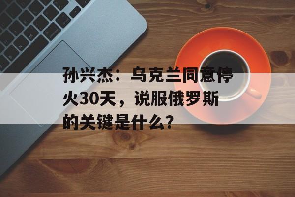 孙兴杰：乌克兰同意停火30天，说服俄罗斯的关键是什么？-第1张图片-