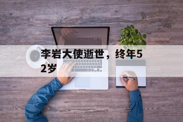李岩大使逝世，终年52岁-第1张图片-