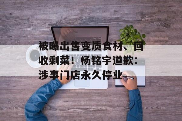 被曝出售变质食材、回收剩菜！杨铭宇道歉：涉事门店永久停业-第1张图片-