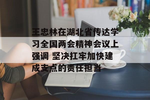 王忠林在湖北省传达学习全国两会精神会议上强调 坚决扛牢加快建成支点的责任担当-第1张图片-