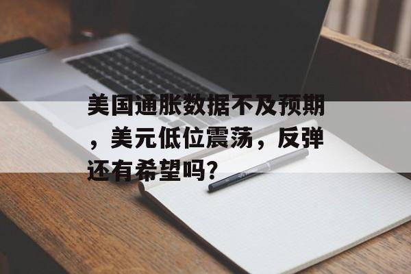 美国通胀数据不及预期，美元低位震荡，反弹还有希望吗？-第1张图片-