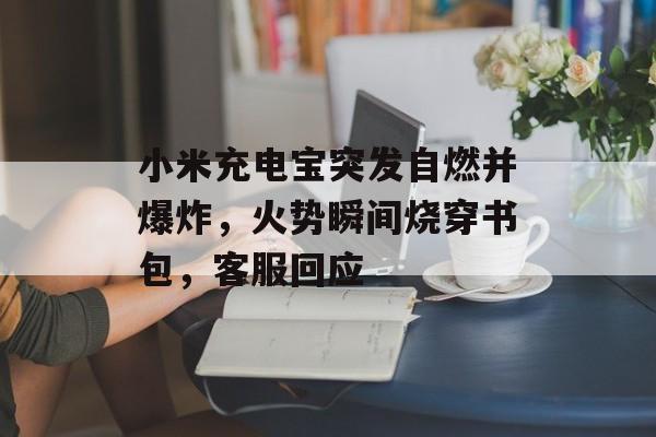 小米充电宝突发自燃并爆炸，火势瞬间烧穿书包，客服回应-第1张图片-