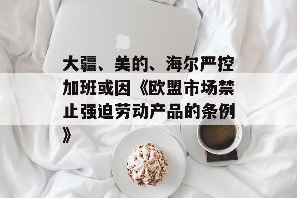 大疆、美的、海尔严控加班或因《欧盟市场禁止强迫劳动产品的条例》-第1张图片-