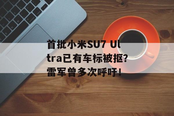 首批小米SU7 Ultra已有车标被抠？雷军曾多次呼吁！-第1张图片-