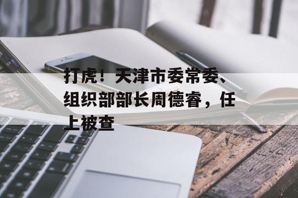 打虎！天津市委常委、组织部部长周德睿，任上被查-第1张图片-
