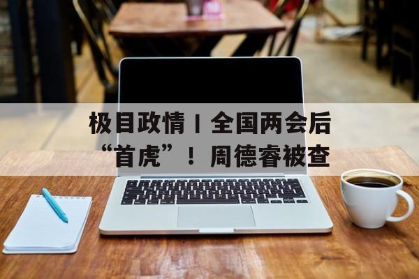极目政情丨全国两会后“首虎”！周德睿被查-第1张图片-
