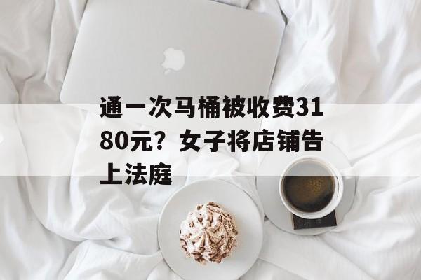 通一次马桶被收费3180元？女子将店铺告上法庭-第1张图片-