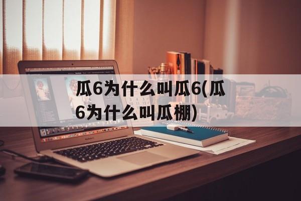 瓜6为什么叫瓜6(瓜6为什么叫瓜棚)-第1张图片-