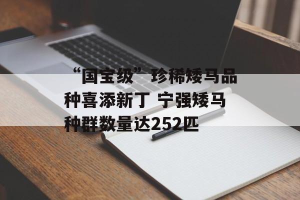 “国宝级”珍稀矮马品种喜添新丁 宁强矮马种群数量达252匹-第1张图片-