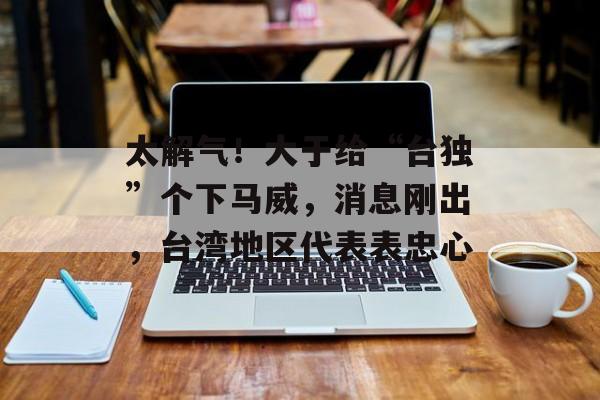 太解气！大于给“台独”个下马威，消息刚出，台湾地区代表表忠心-第1张图片-