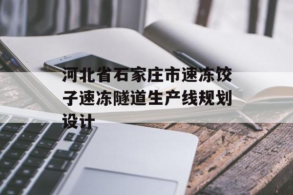 河北省石家庄市速冻饺子速冻隧道生产线规划设计-第1张图片-