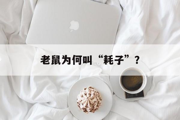 老鼠为何叫“耗子”？-第1张图片-