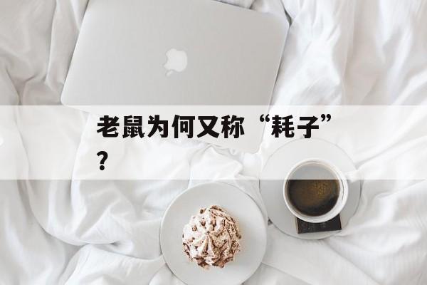 老鼠为何又称“耗子”？-第1张图片-