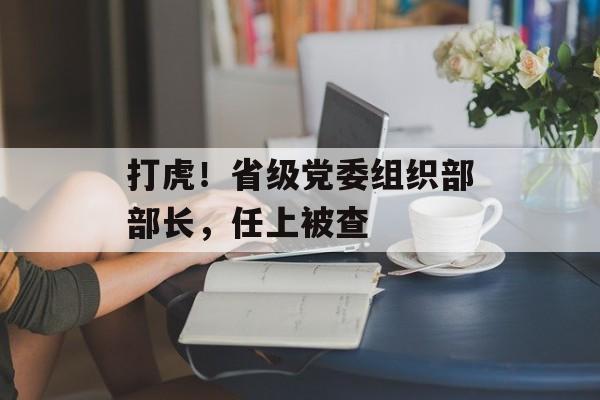 打虎！省级党委组织部部长，任上被查-第1张图片-