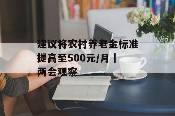 建议将农村养老金标准提高至500元/月｜两会观察-第1张图片-