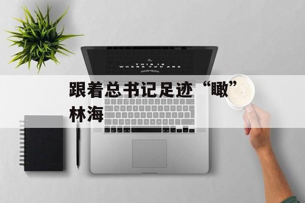 跟着总书记足迹“瞰”林海-第1张图片-