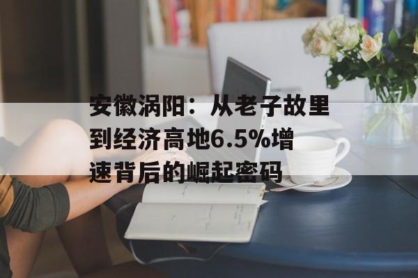 安徽涡阳：从老子故里到经济高地6.5%增速背后的崛起密码-第1张图片-