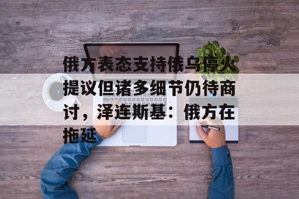 俄方表态支持俄乌停火提议但诸多细节仍待商讨，泽连斯基：俄方在拖延-第1张图片-