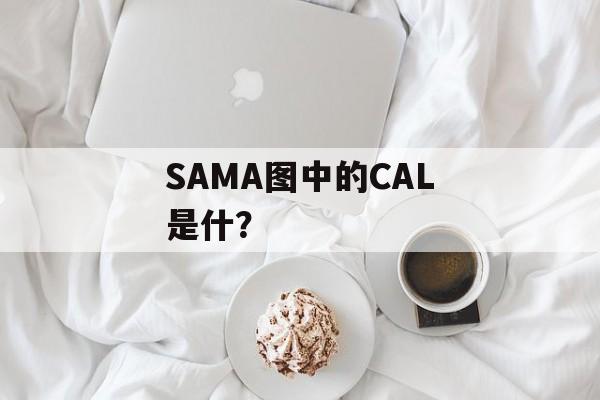 SAMA图中的CAL是什？-第1张图片-