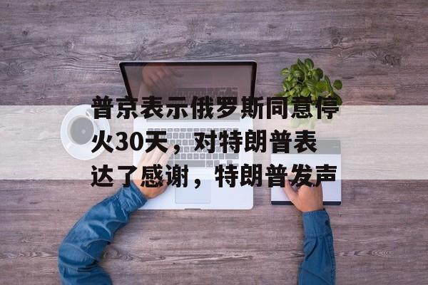 普京表示俄罗斯同意停火30天，对特朗普表达了感谢，特朗普发声-第1张图片-
