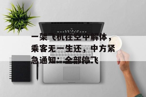 一架飞机在空中解体，乘客无一生还，中方紧急通知：全部停飞-第1张图片-