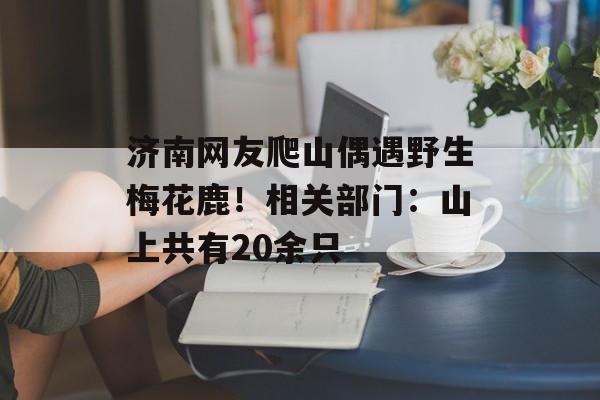 济南网友爬山偶遇野生梅花鹿！相关部门：山上共有20余只-第1张图片-