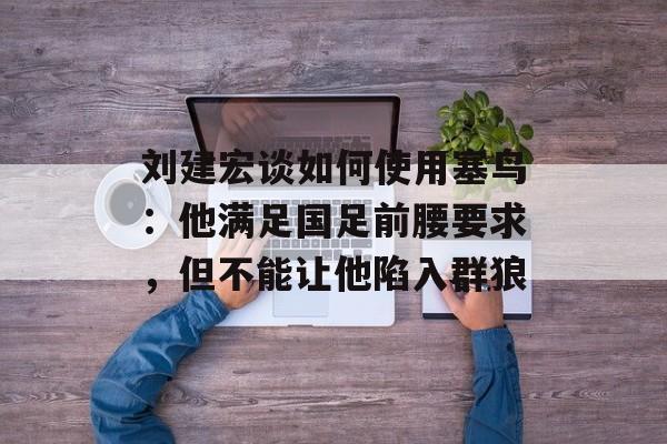刘建宏谈如何使用塞鸟：他满足国足前腰要求，但不能让他陷入群狼-第1张图片-