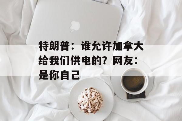 特朗普：谁允许加拿大给我们供电的？网友：是你自己-第1张图片-