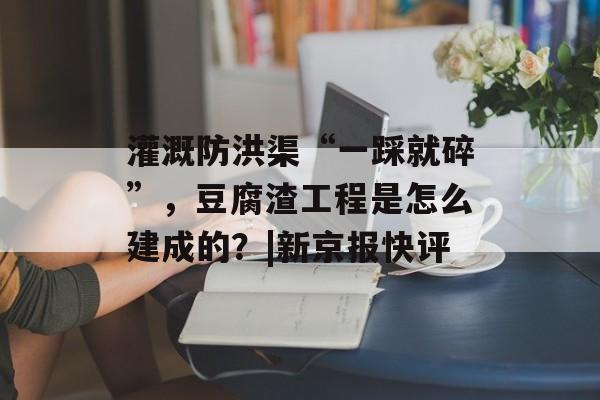 灌溉防洪渠“一踩就碎”，豆腐渣工程是怎么建成的？|新京报快评-第1张图片-