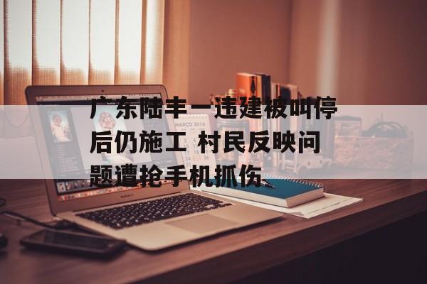 广东陆丰一违建被叫停后仍施工 村民反映问题遭抢手机抓伤-第1张图片-