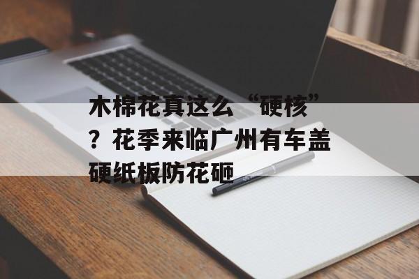 木棉花真这么“硬核”？花季来临广州有车盖硬纸板防花砸-第1张图片-