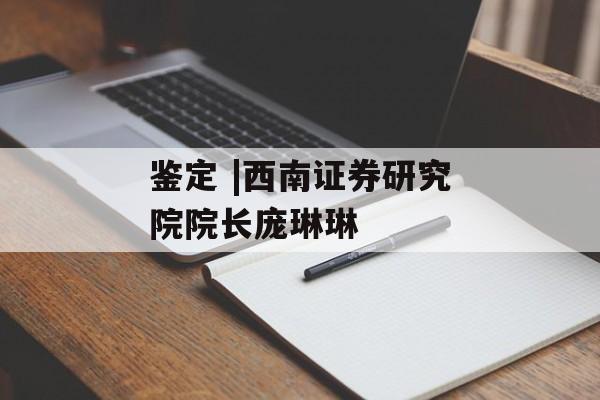 鉴定 |西南证券研究院院长庞琳琳-第1张图片-