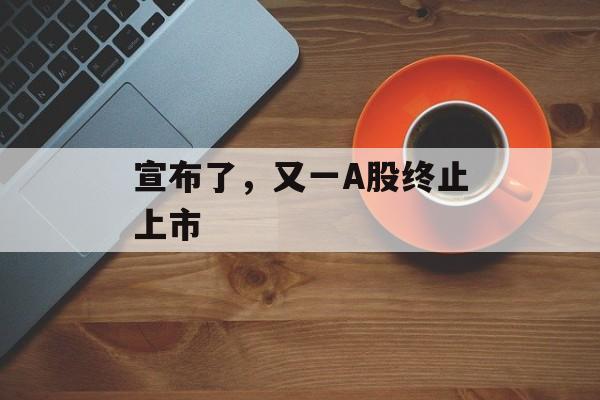 宣布了，又一A股终止上市-第1张图片-