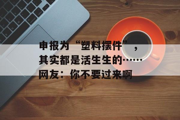 申报为“塑料摆件”，其实都是活生生的……网友：你不要过来啊-第1张图片-