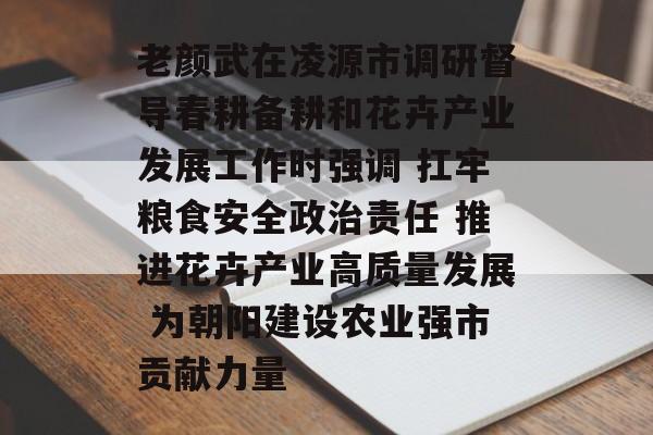 老颜武在凌源市调研督导春耕备耕和花卉产业发展工作时强调 扛牢粮食安全政治责任 推进花卉产业高质量发展 为朝阳建设农业强市贡献力量-第1张图片-