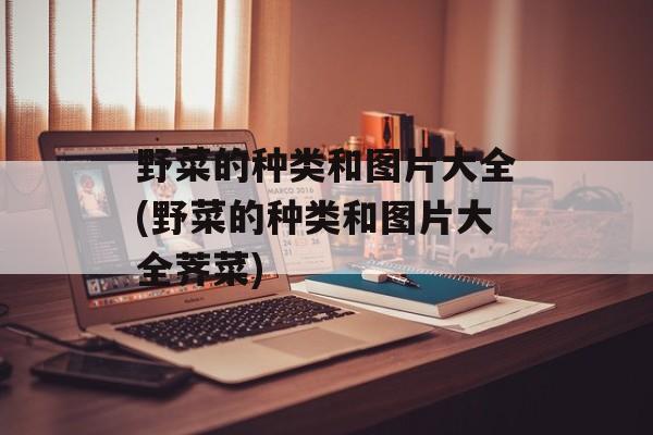 野菜的种类和图片大全(野菜的种类和图片大全荠菜)-第1张图片-