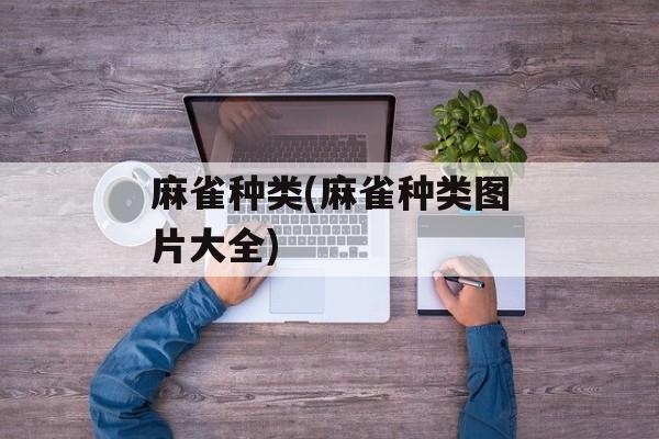 麻雀种类(麻雀种类图片大全)-第1张图片-