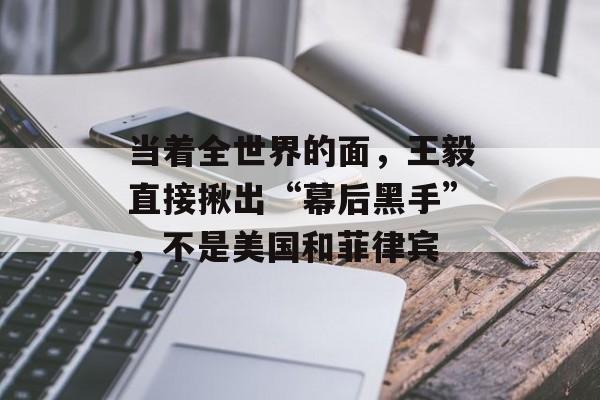 当着全世界的面，王毅直接揪出“幕后黑手”，不是美国和菲律宾-第1张图片-