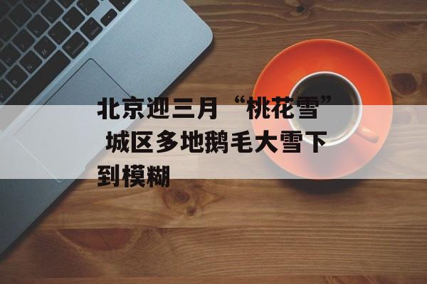 北京迎三月“桃花雪” 城区多地鹅毛大雪下到模糊-第1张图片-