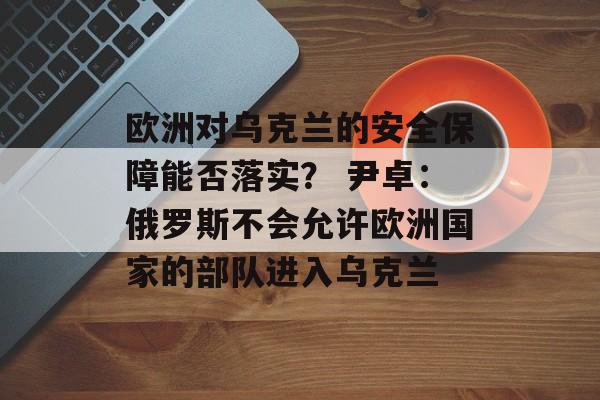欧洲对乌克兰的安全保障能否落实？ 尹卓：俄罗斯不会允许欧洲国家的部队进入乌克兰-第1张图片-
