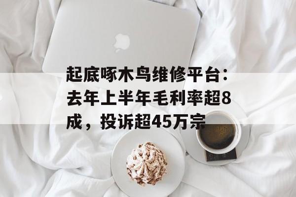 起底啄木鸟维修平台：去年上半年毛利率超8成，投诉超45万宗-第1张图片-