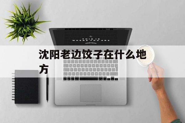 沈阳老边饺子在什么地方-第1张图片-